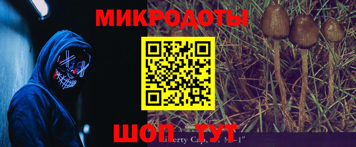 Псилоцибиновые грибы MAGIC MUSHROOMS Саранск